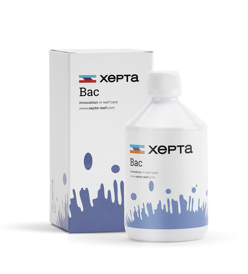 xepta-bac2.png