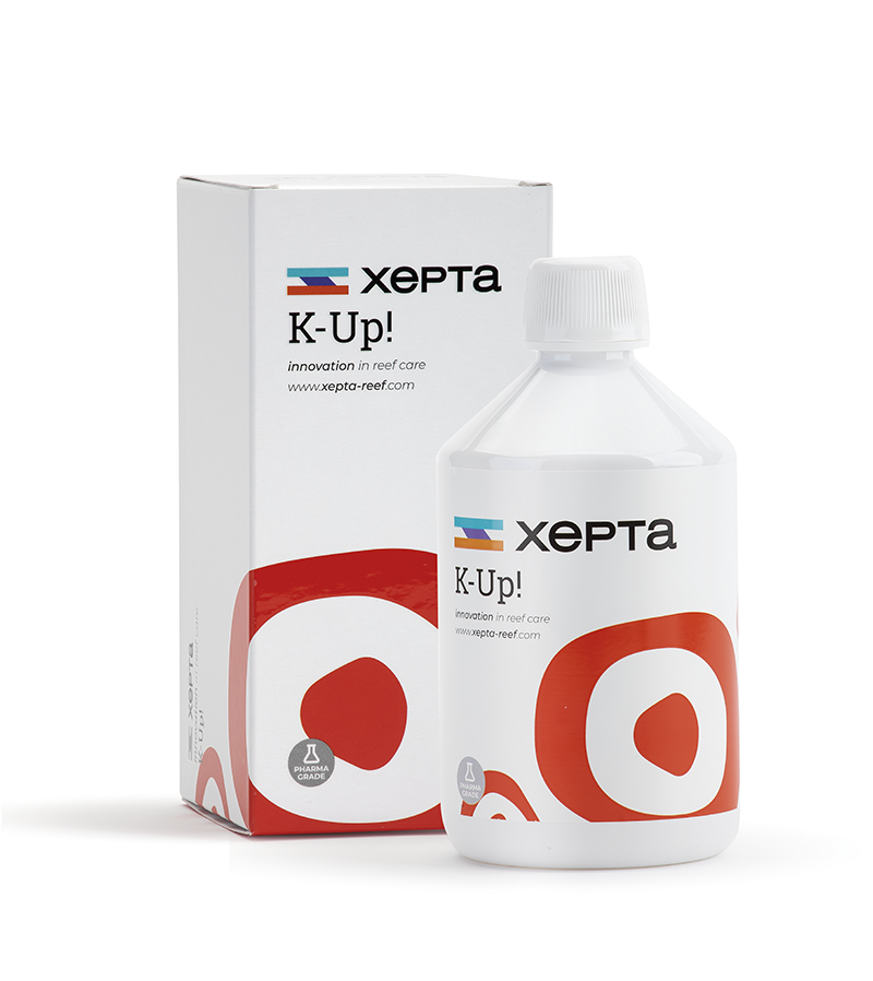 xepta-k-up.png